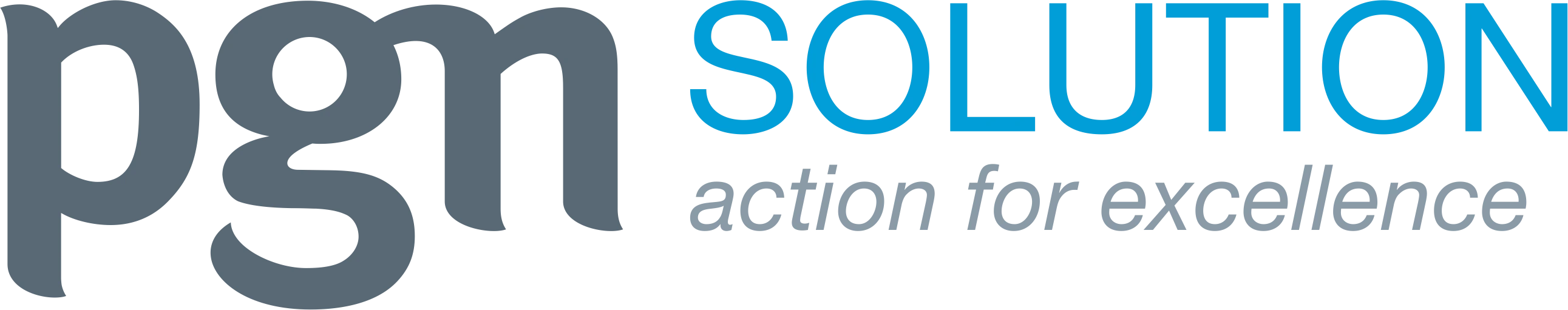 PGSOL